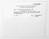 Image Associated With the Occurence